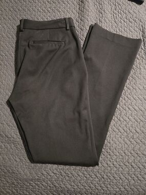 Express Dress Pants
